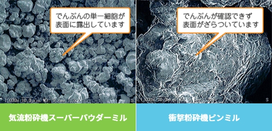 気流粉砕機スーパーパウダーミル でんぷんの単一細胞が表面に露出しています 衝撃粉砕機ピンミル でんぷんが確認できず表面がざらついています