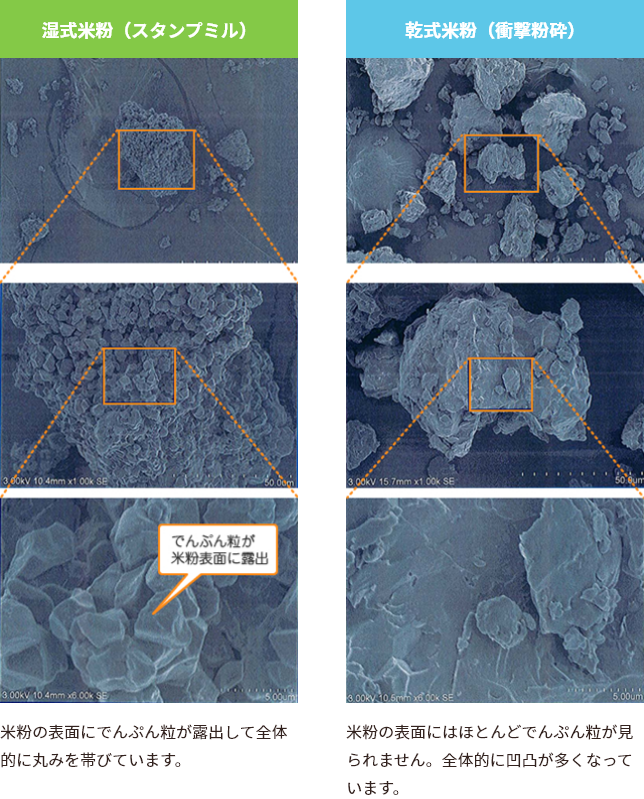 湿式米粉（スタンプミル） でんぷん粒が米粉表面に露出 米粉の表面にでんぷん粒が露出して全体的に丸みを帯びています。 乾式米粉（衝撃粉砕） 米粉の表面にはほとんどでんぷん粒が見られません。全体的に凹凸が多くなっています。